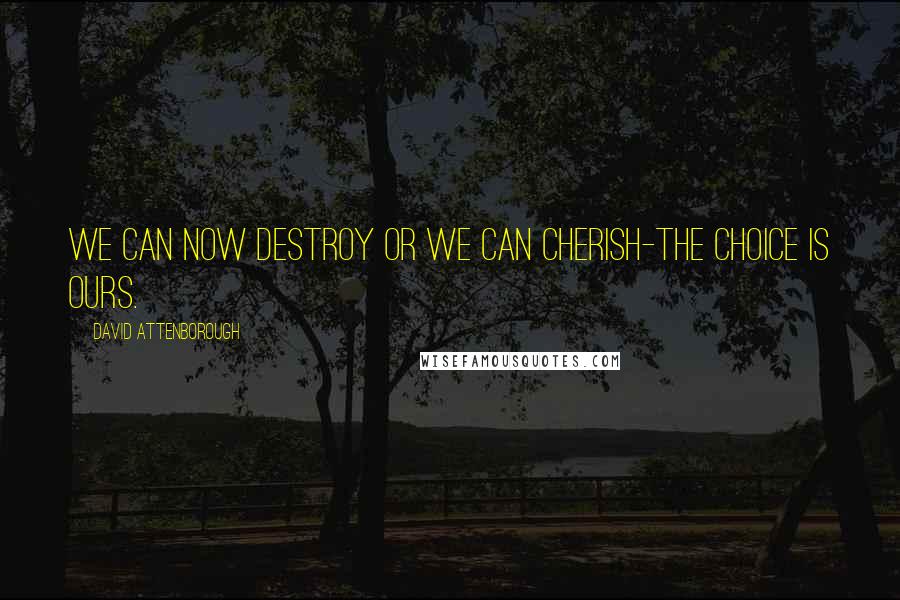 David Attenborough Quotes: We can now destroy or we can cherish-the choice is ours.