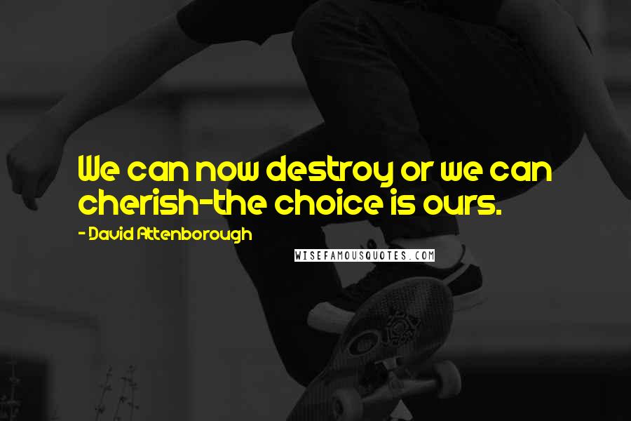 David Attenborough Quotes: We can now destroy or we can cherish-the choice is ours.