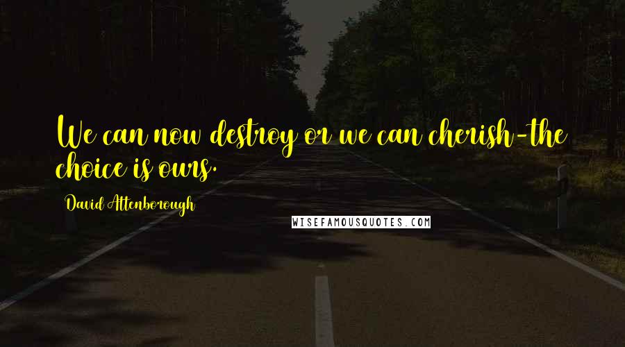 David Attenborough Quotes: We can now destroy or we can cherish-the choice is ours.