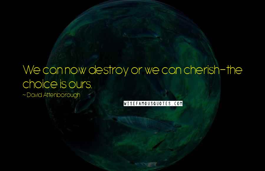 David Attenborough Quotes: We can now destroy or we can cherish-the choice is ours.