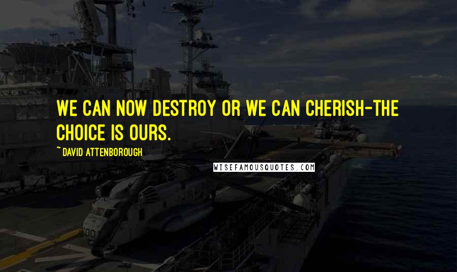 David Attenborough Quotes: We can now destroy or we can cherish-the choice is ours.