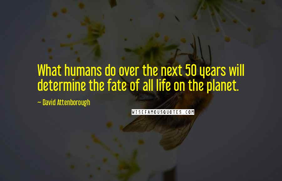 David Attenborough Quotes: What humans do over the next 50 years will determine the fate of all life on the planet.