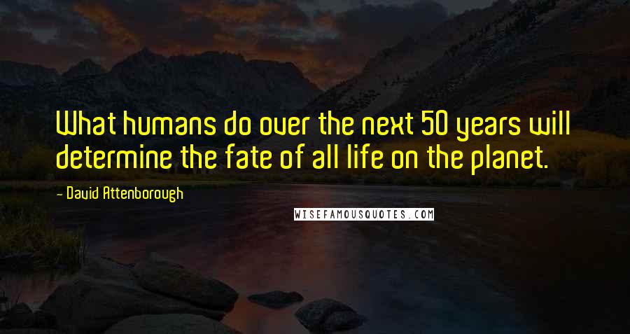 David Attenborough Quotes: What humans do over the next 50 years will determine the fate of all life on the planet.