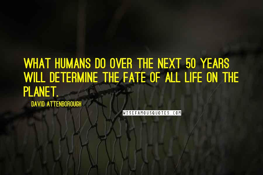 David Attenborough Quotes: What humans do over the next 50 years will determine the fate of all life on the planet.