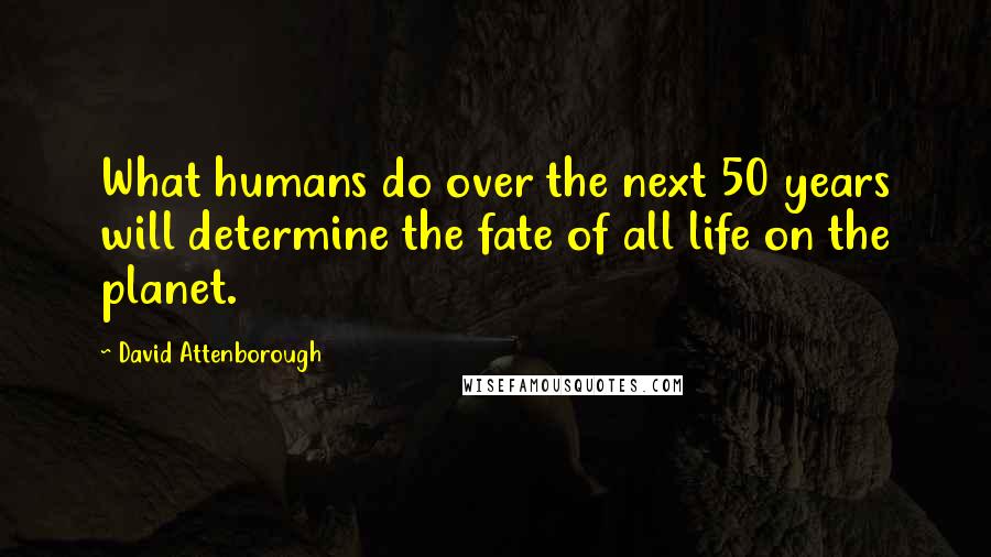 David Attenborough Quotes: What humans do over the next 50 years will determine the fate of all life on the planet.