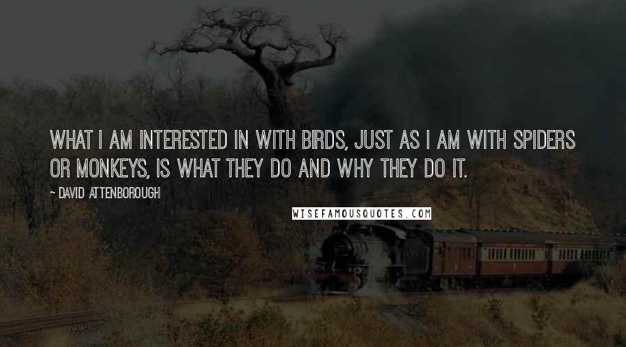 David Attenborough Quotes: What I am interested in with birds, just as I am with spiders or monkeys, is what they do and why they do it.