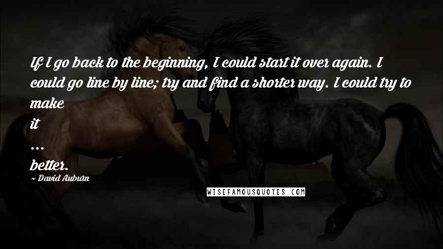 David Auburn Quotes: If I go back to the beginning, I could start it over again. I could go line by line; try and find a shorter way. I could try to make it ... better.