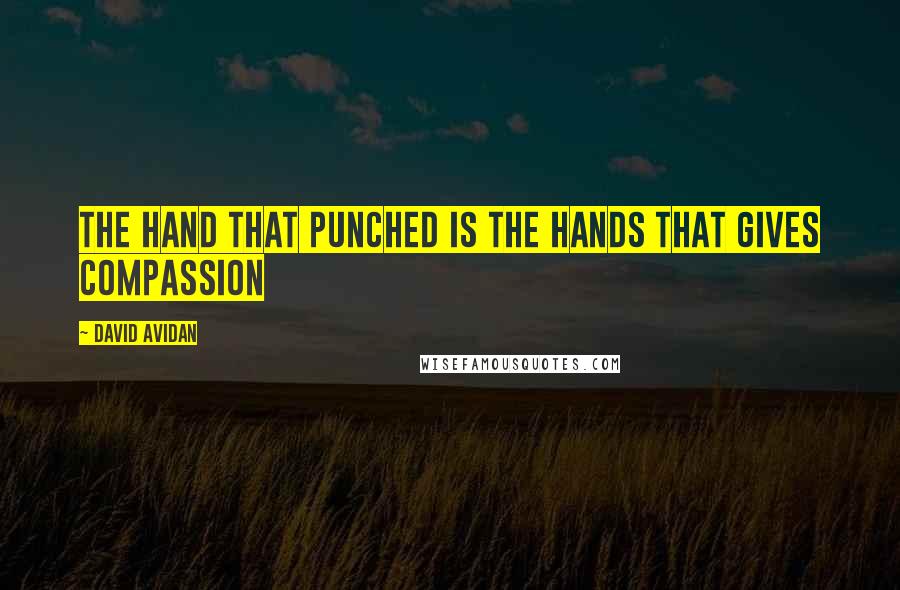 David Avidan Quotes: The hand that punched is the hands that gives compassion