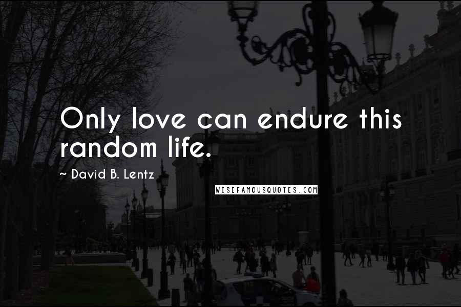 David B. Lentz Quotes: Only love can endure this random life.