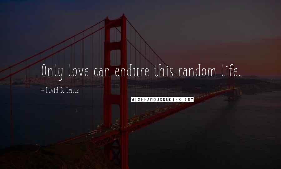 David B. Lentz Quotes: Only love can endure this random life.