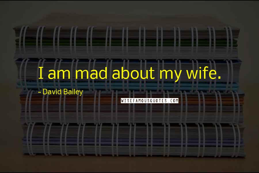 David Bailey Quotes: I am mad about my wife.