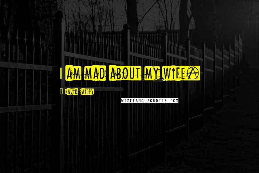 David Bailey Quotes: I am mad about my wife.