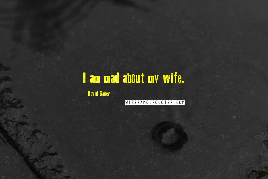 David Bailey Quotes: I am mad about my wife.