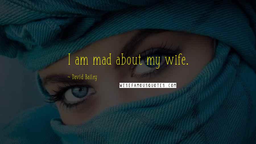 David Bailey Quotes: I am mad about my wife.