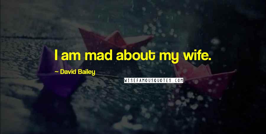 David Bailey Quotes: I am mad about my wife.