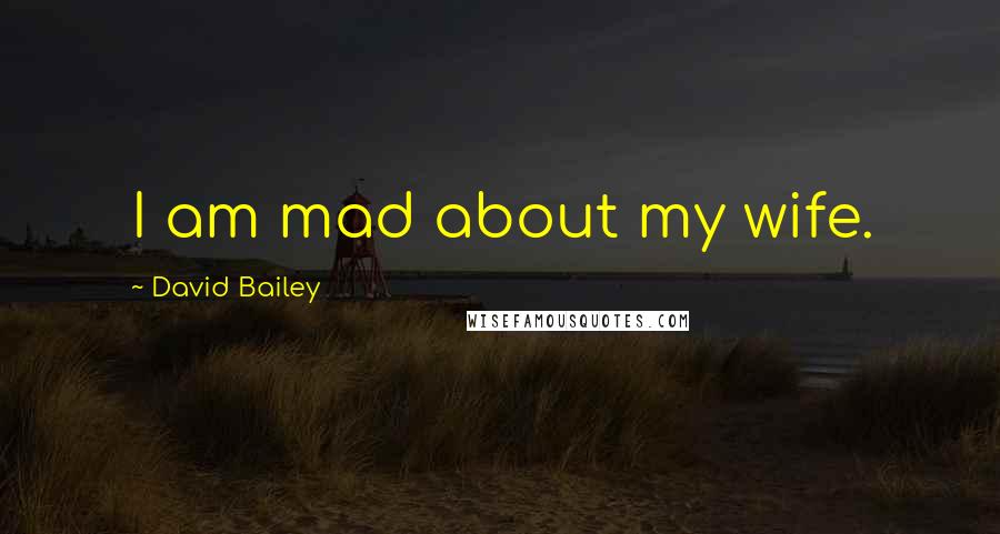 David Bailey Quotes: I am mad about my wife.