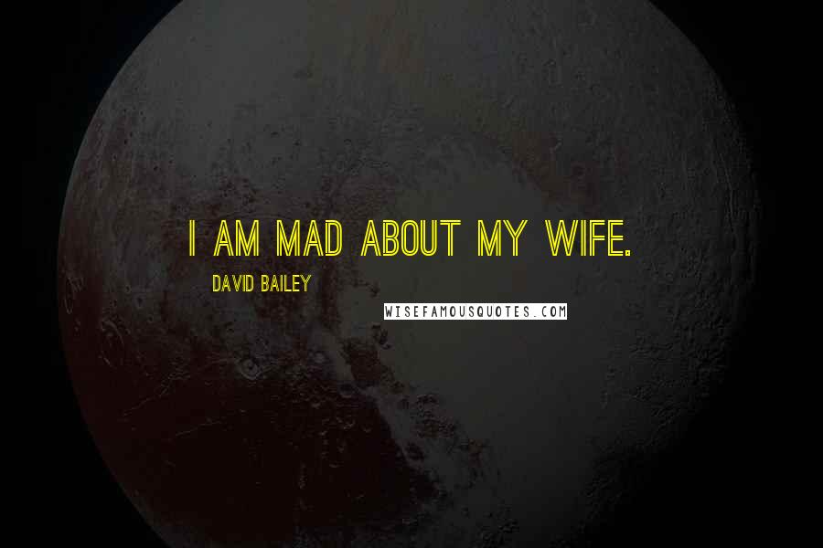 David Bailey Quotes: I am mad about my wife.