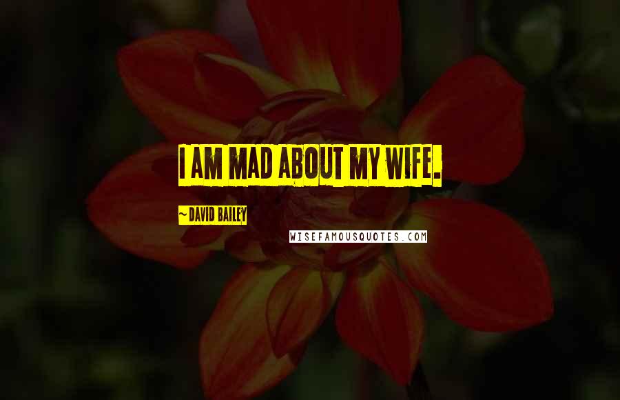 David Bailey Quotes: I am mad about my wife.