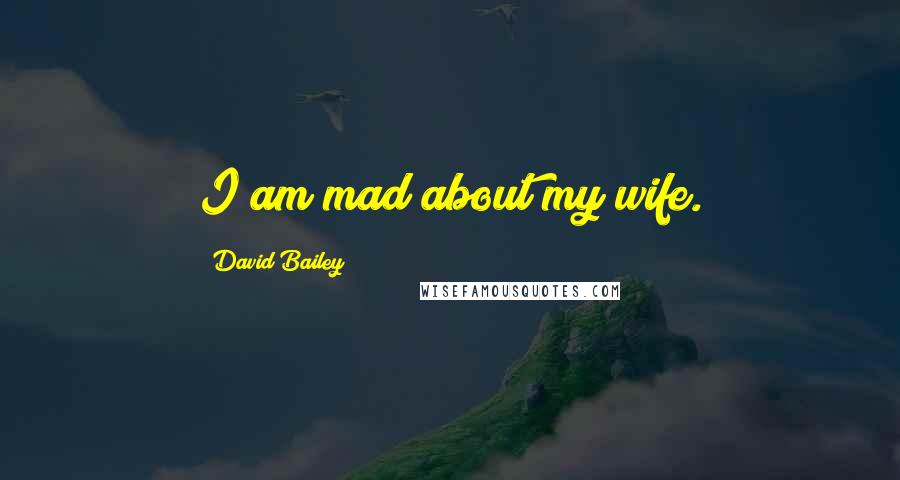 David Bailey Quotes: I am mad about my wife.