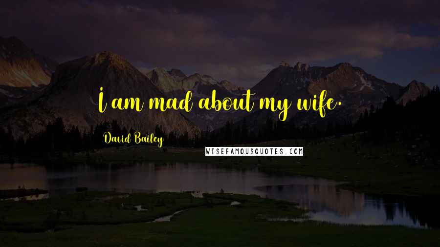 David Bailey Quotes: I am mad about my wife.
