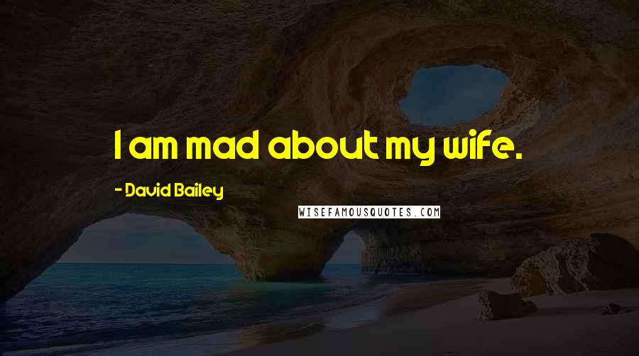 David Bailey Quotes: I am mad about my wife.