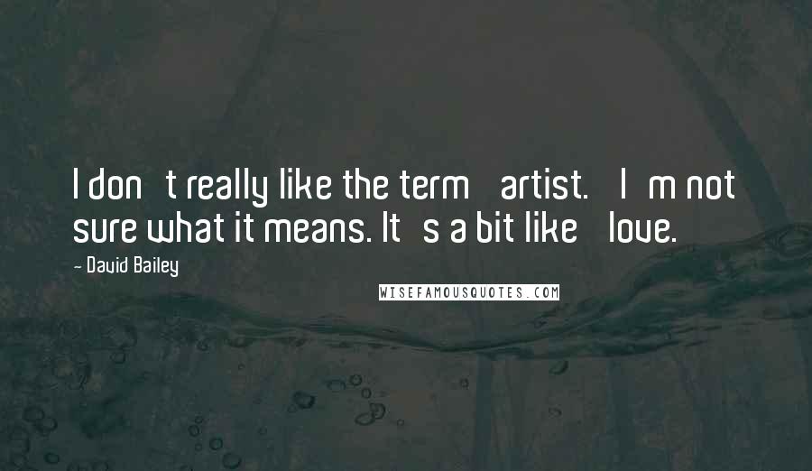 David Bailey Quotes: I don't really like the term 'artist.' I'm not sure what it means. It's a bit like 'love.'