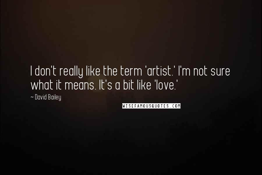 David Bailey Quotes: I don't really like the term 'artist.' I'm not sure what it means. It's a bit like 'love.'