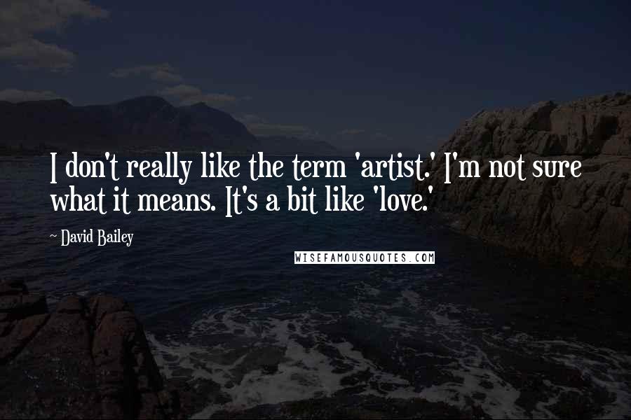 David Bailey Quotes: I don't really like the term 'artist.' I'm not sure what it means. It's a bit like 'love.'