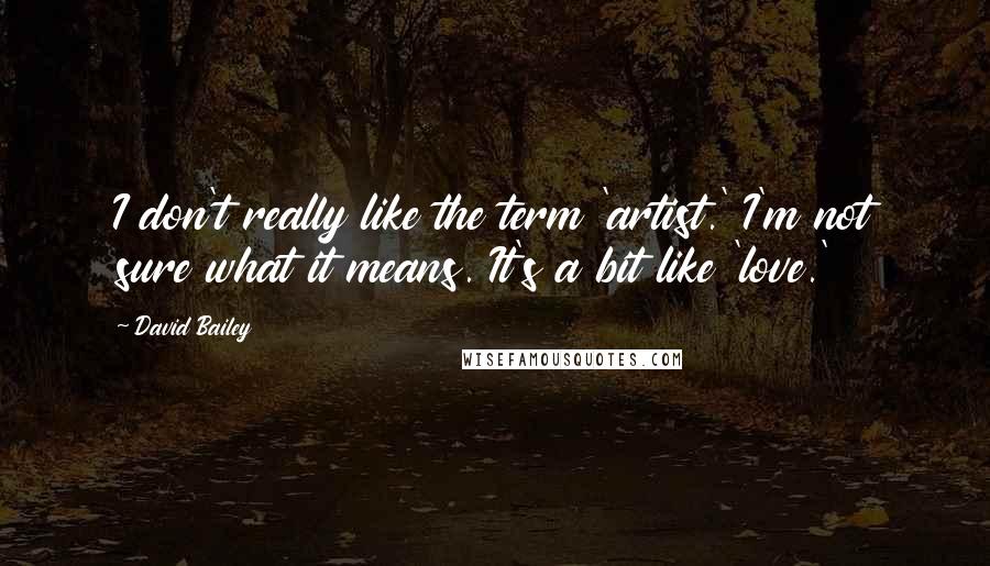 David Bailey Quotes: I don't really like the term 'artist.' I'm not sure what it means. It's a bit like 'love.'