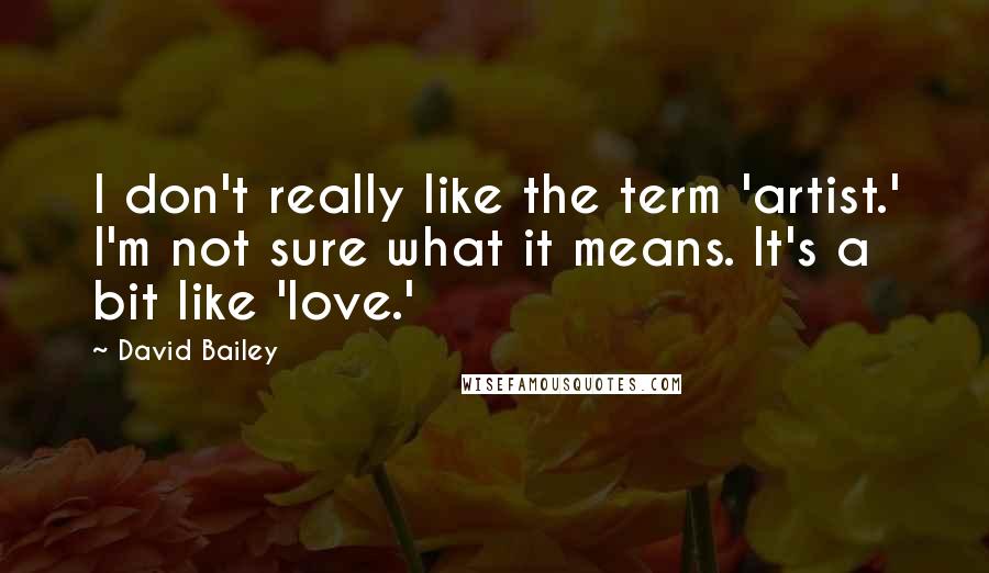 David Bailey Quotes: I don't really like the term 'artist.' I'm not sure what it means. It's a bit like 'love.'