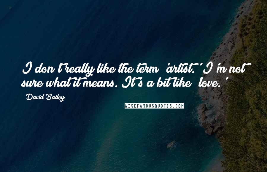 David Bailey Quotes: I don't really like the term 'artist.' I'm not sure what it means. It's a bit like 'love.'