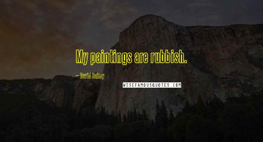 David Bailey Quotes: My paintings are rubbish.