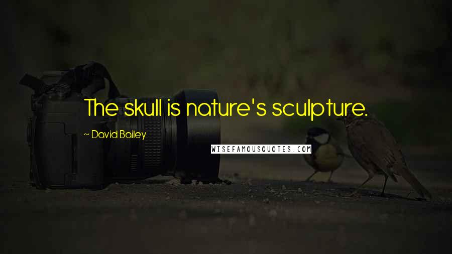 David Bailey Quotes: The skull is nature's sculpture.