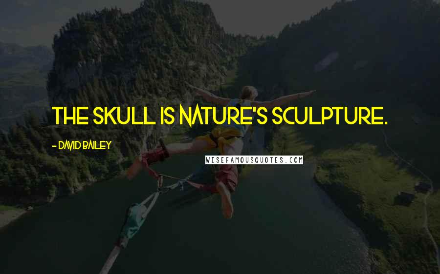 David Bailey Quotes: The skull is nature's sculpture.