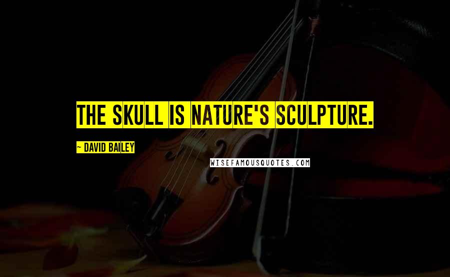 David Bailey Quotes: The skull is nature's sculpture.