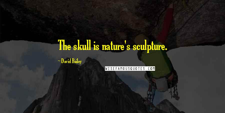 David Bailey Quotes: The skull is nature's sculpture.