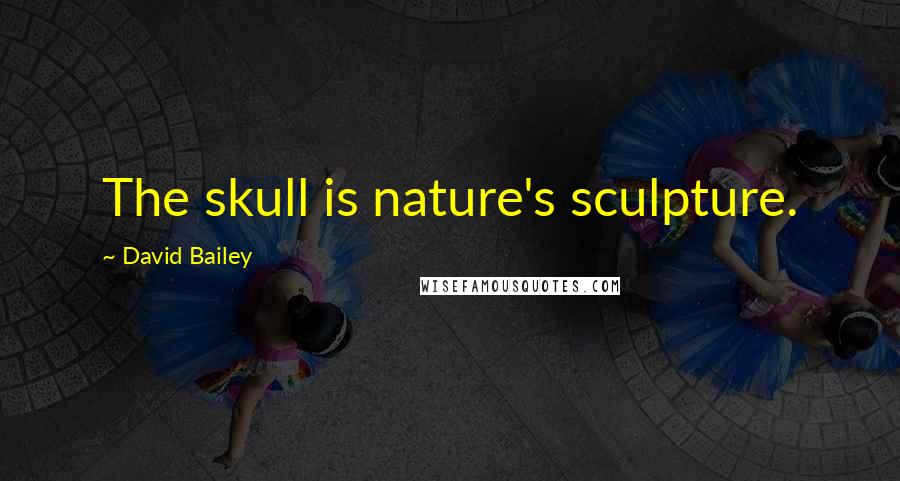 David Bailey Quotes: The skull is nature's sculpture.