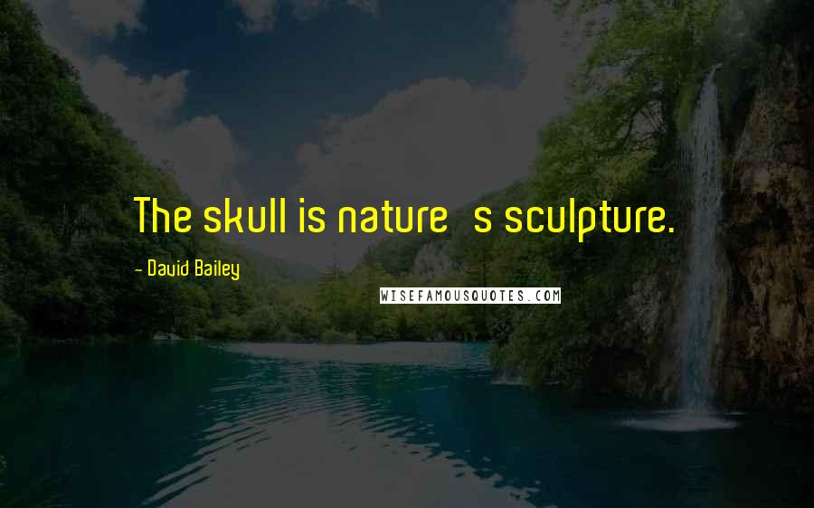 David Bailey Quotes: The skull is nature's sculpture.