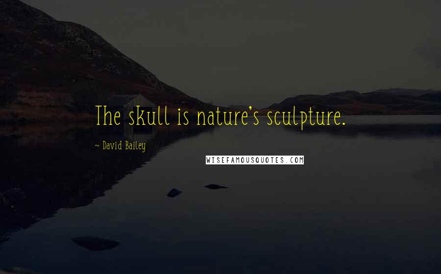 David Bailey Quotes: The skull is nature's sculpture.