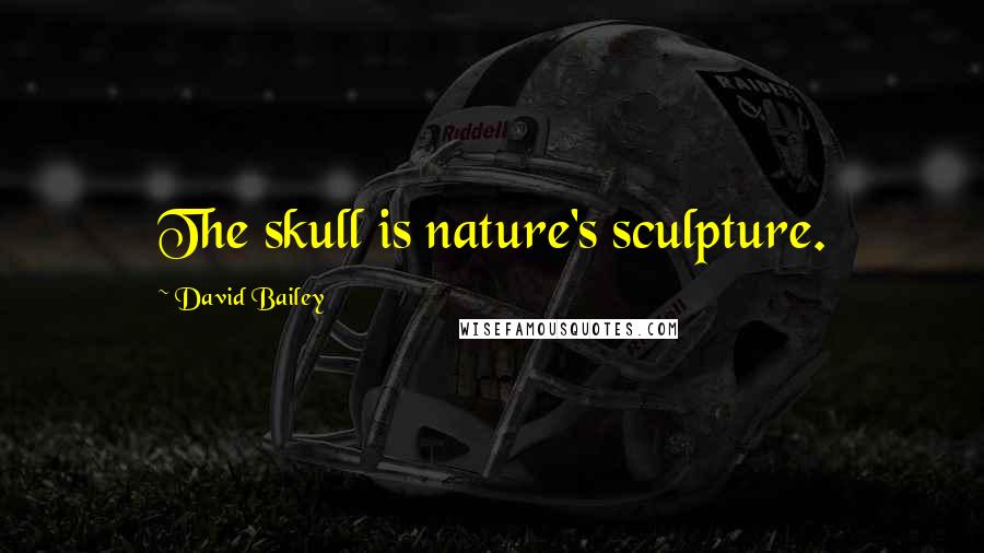 David Bailey Quotes: The skull is nature's sculpture.