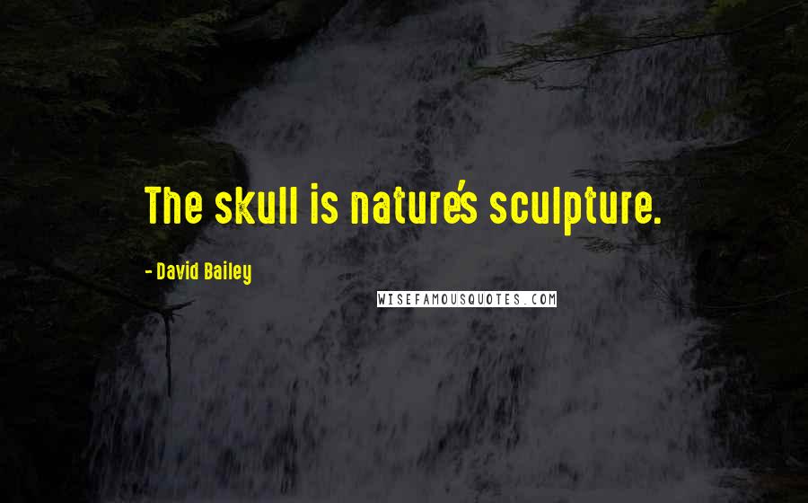 David Bailey Quotes: The skull is nature's sculpture.