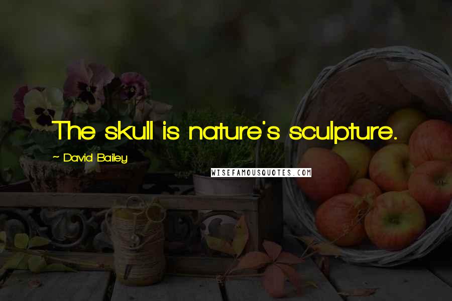 David Bailey Quotes: The skull is nature's sculpture.