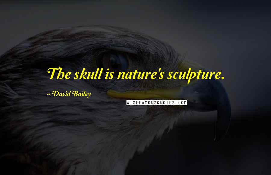 David Bailey Quotes: The skull is nature's sculpture.