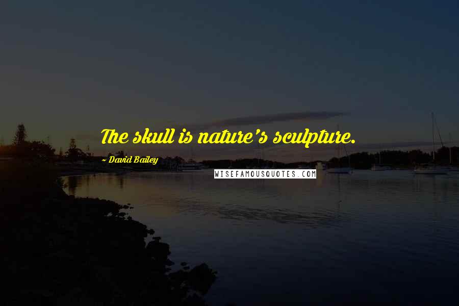 David Bailey Quotes: The skull is nature's sculpture.