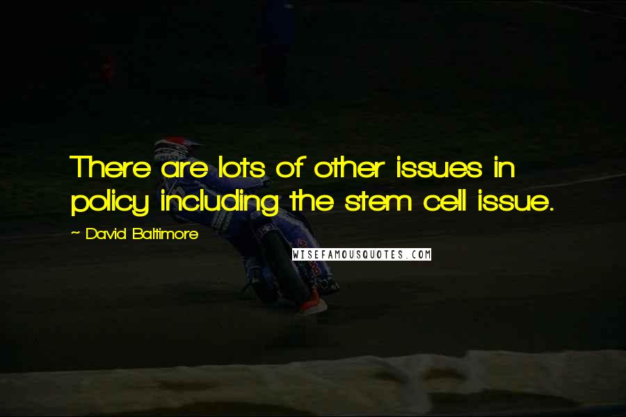 David Baltimore Quotes: There are lots of other issues in policy including the stem cell issue.