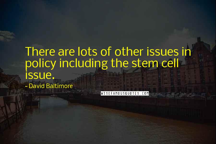David Baltimore Quotes: There are lots of other issues in policy including the stem cell issue.