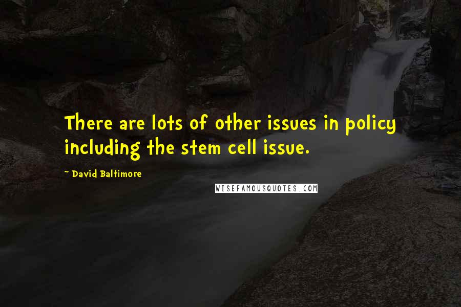 David Baltimore Quotes: There are lots of other issues in policy including the stem cell issue.