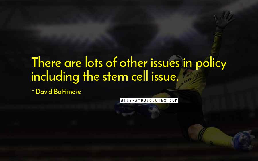 David Baltimore Quotes: There are lots of other issues in policy including the stem cell issue.
