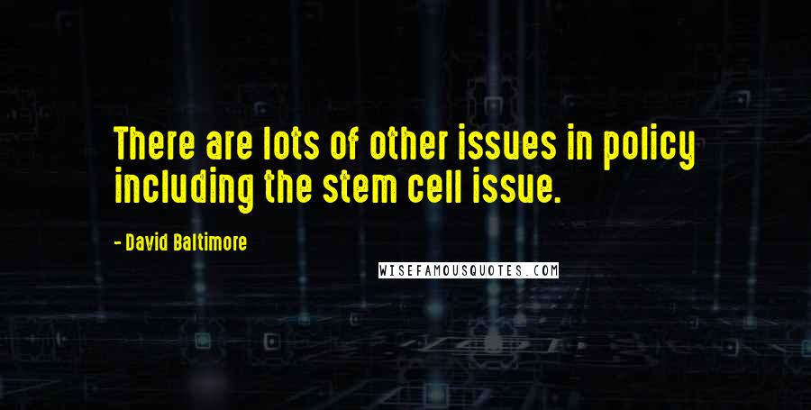 David Baltimore Quotes: There are lots of other issues in policy including the stem cell issue.