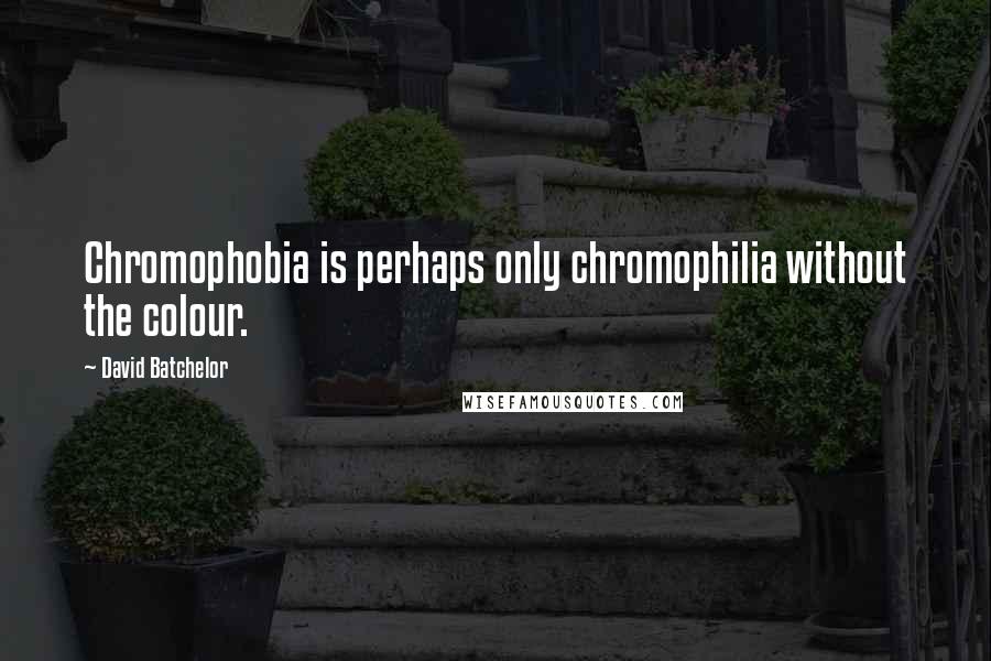 David Batchelor Quotes: Chromophobia is perhaps only chromophilia without the colour.